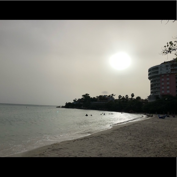 Meet your Posher, Hector - Picture 2 of 3